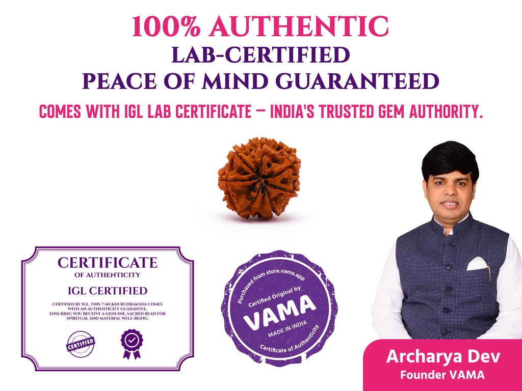 (Launch Offer): Saat Mukhi Rudraksha – Energized at 7 Powerful Shiva Temples | 49x Energy | For Financial Stability & Growth