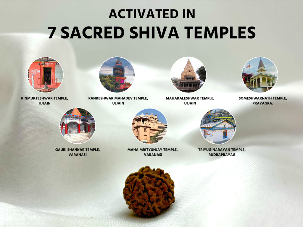 (Launch Offer): Saat Mukhi Rudraksha – Energized at 7 Powerful Shiva Temples | 49x Energy | For Financial Stability & Growth