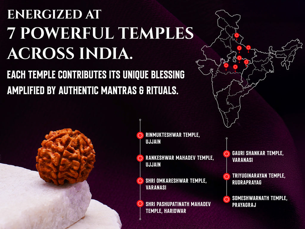 (Launch Offer): Saat Mukhi Rudraksha – Energized at 7 Powerful Shiva Temples | 49x Energy | For Financial Stability & Growth | Capping with German Silver