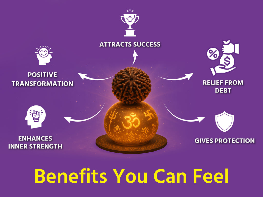 (Launch Offer): Saat Mukhi Rudraksha – Energized at 7 Powerful Shiva Temples | 49x Energy | For Financial Stability & Growth