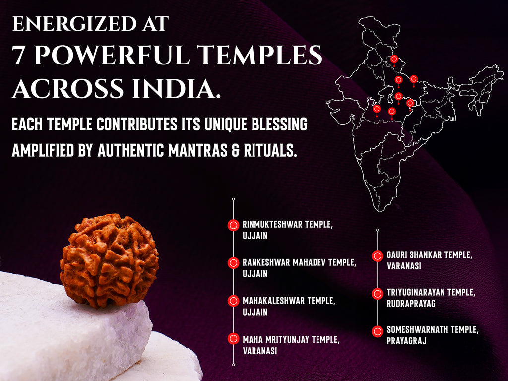 (Launch Offer): Saat Mukhi Rudraksha – Energized at 7 Powerful Shiva Temples | 49x Energy | For Financial Stability & Growth