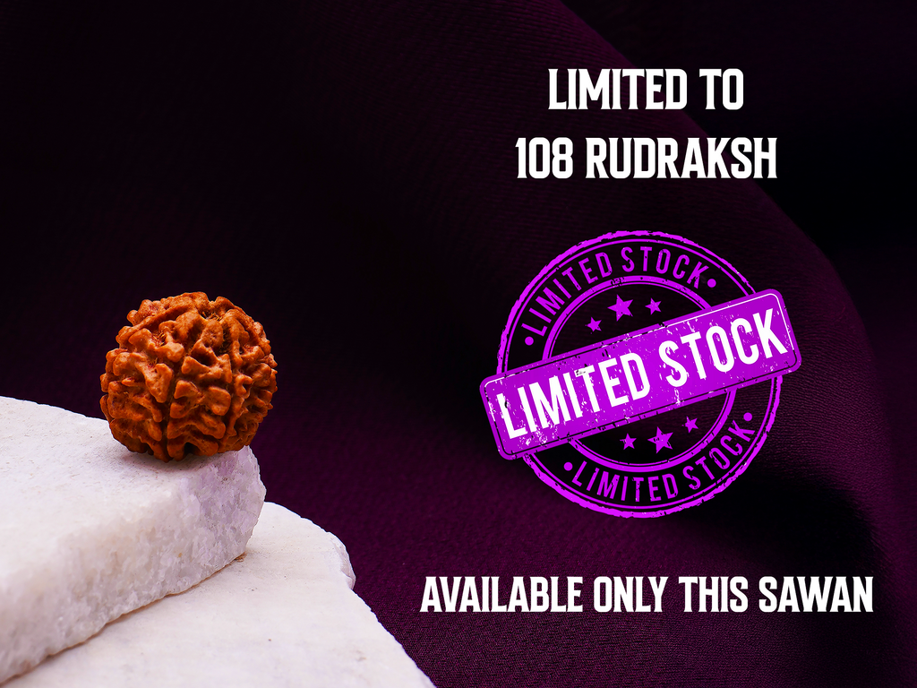 (Only 20 Left) Siddh Saat Mukhi Rudraksh: Unlock Shiv Kripa for Wealth on Sawan Somvar | Siddhi done at Rinmukteshwar Mahadev, Ujjain