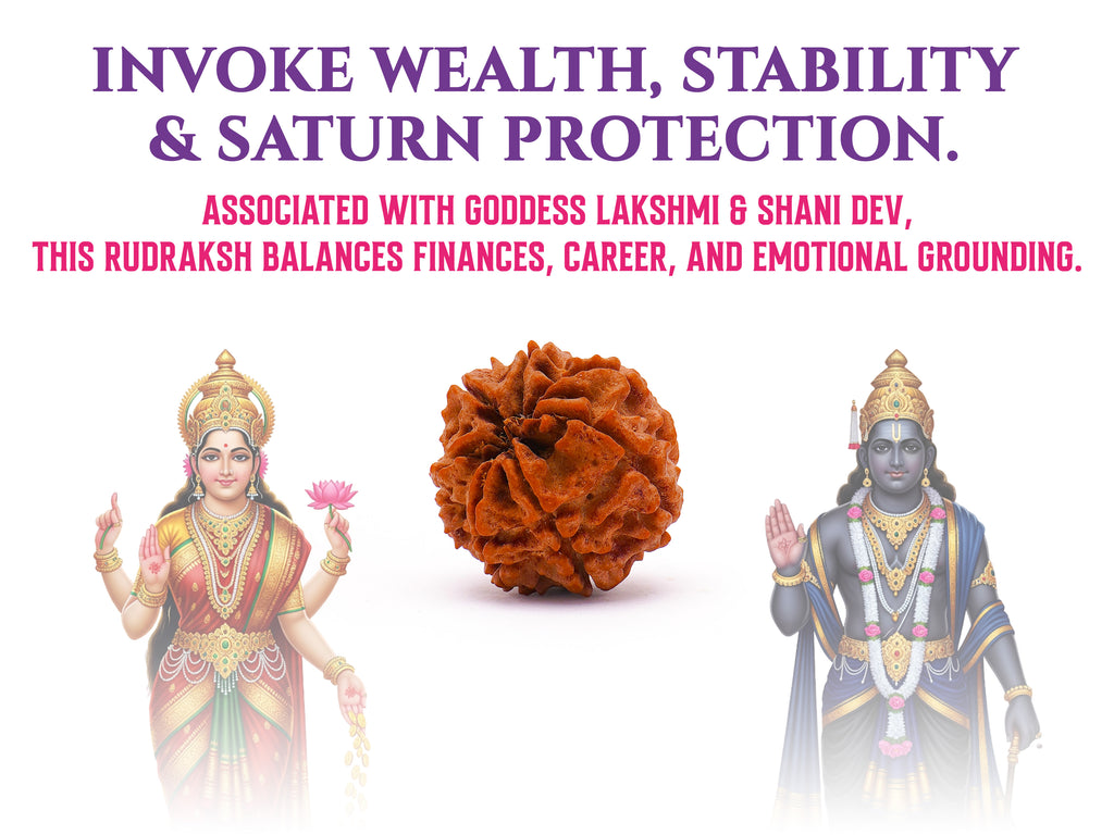 (Launch Offer): Saat Mukhi Rudraksha – Energized at 7 Powerful Shiva Temples | 49x Energy | For Financial Stability & Growth