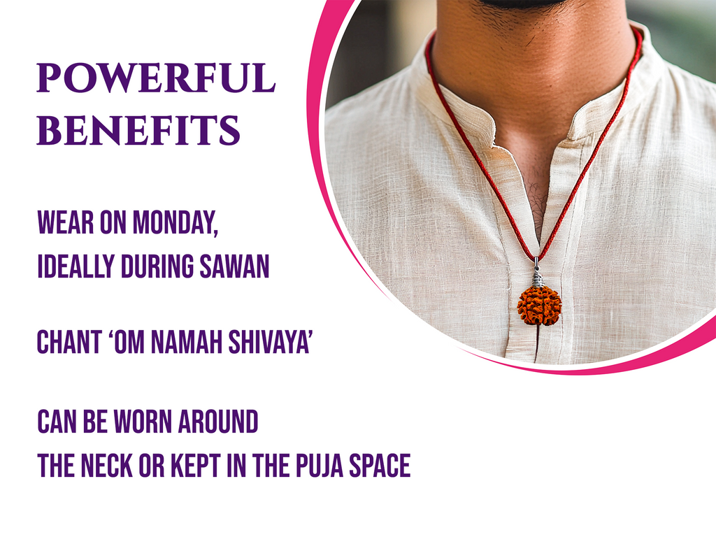 (Only 20 Left) Siddh Saat Mukhi Rudraksh: Unlock Shiv Kripa for Wealth on Sawan Somvar | Siddhi done at Rinmukteshwar Mahadev, Ujjain