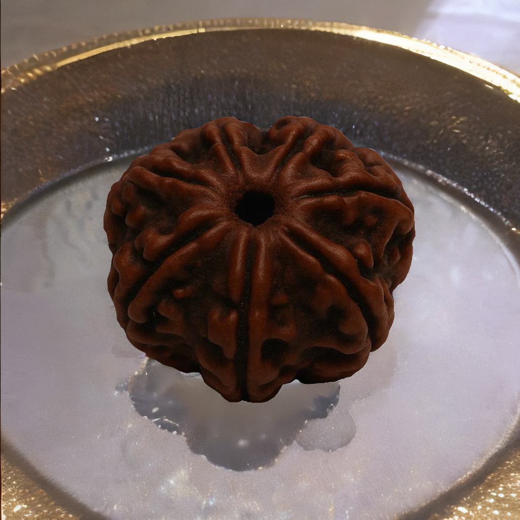 (Launch Offer): Saat Mukhi Rudraksha – Energized at 7 Powerful Shiva Temples | 49x Energy | For Financial Stability & Growth