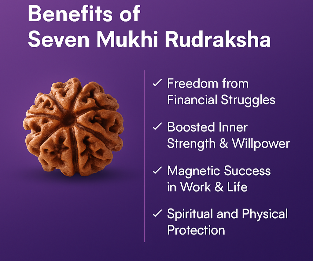 (Launch Offer): Saat Mukhi Rudraksha – Energized at 7 Powerful Shiva Temples | 49x Energy | For Financial Stability & Growth
