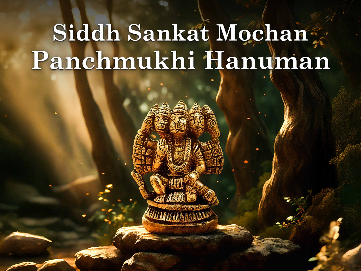 Panchmukhi Hanuman Ji