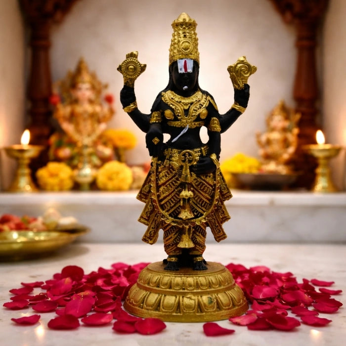 Tirupati Balaji Sacred Idol