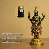 Tirupati Balaji Sacred Idol