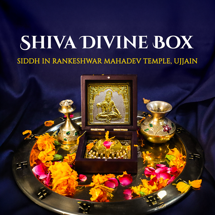 Divine Box – VAMA Mall