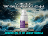 Only 50 left | (Sawan Special) 🕉️ Triveni Sangam Gangajal: Shiv’s Sacred Jal for Abhishek & Shuddhi | Direct from Prayagraj | 400mL