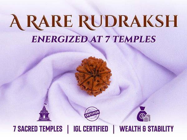 (Launch Offer): Saat Mukhi Rudraksha – Energized at 7 Powerful Shiva Temples | 49x Energy | For Financial Stability & Growth