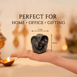Black Ganesha idol held in a hand with measurements, set against a warm background.