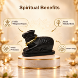 Divine Mahakal Nandi Murti | Exclusive to VAMA, other brands are fake - VAMA Mall
