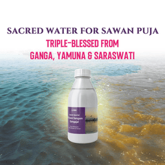 Only 50 left | (Sawan Special) 🕉️ Triveni Sangam Gangajal: Shiv’s Sacred Jal for Abhishek & Shuddhi | Direct from Prayagraj | 400mL