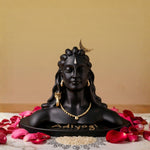 Siddh Adiyogi Murti - VAMA Mall