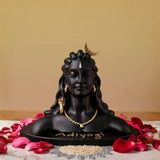Siddh Adiyogi Murti