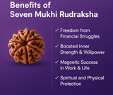 (Launch Offer): Saat Mukhi Rudraksha – Energized at 7 Powerful Shiva Temples | 49x Energy | For Financial Stability & Growth