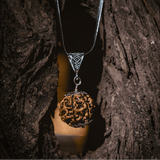 Close-up of a necklace with a pendant hanging from a tree