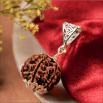 Close-up of a rudraksha pendant with silver chain on a red fabric background