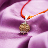 Siddh Panch Mukhi Rudraksh with a red cord on a purple fabric background