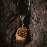 Siddh Saat Mukhi Rudraksh – Energized at Rinmukteshwar Mahadev Temple, Ujjain