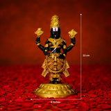 Tirupati Balaji Sacred Idol